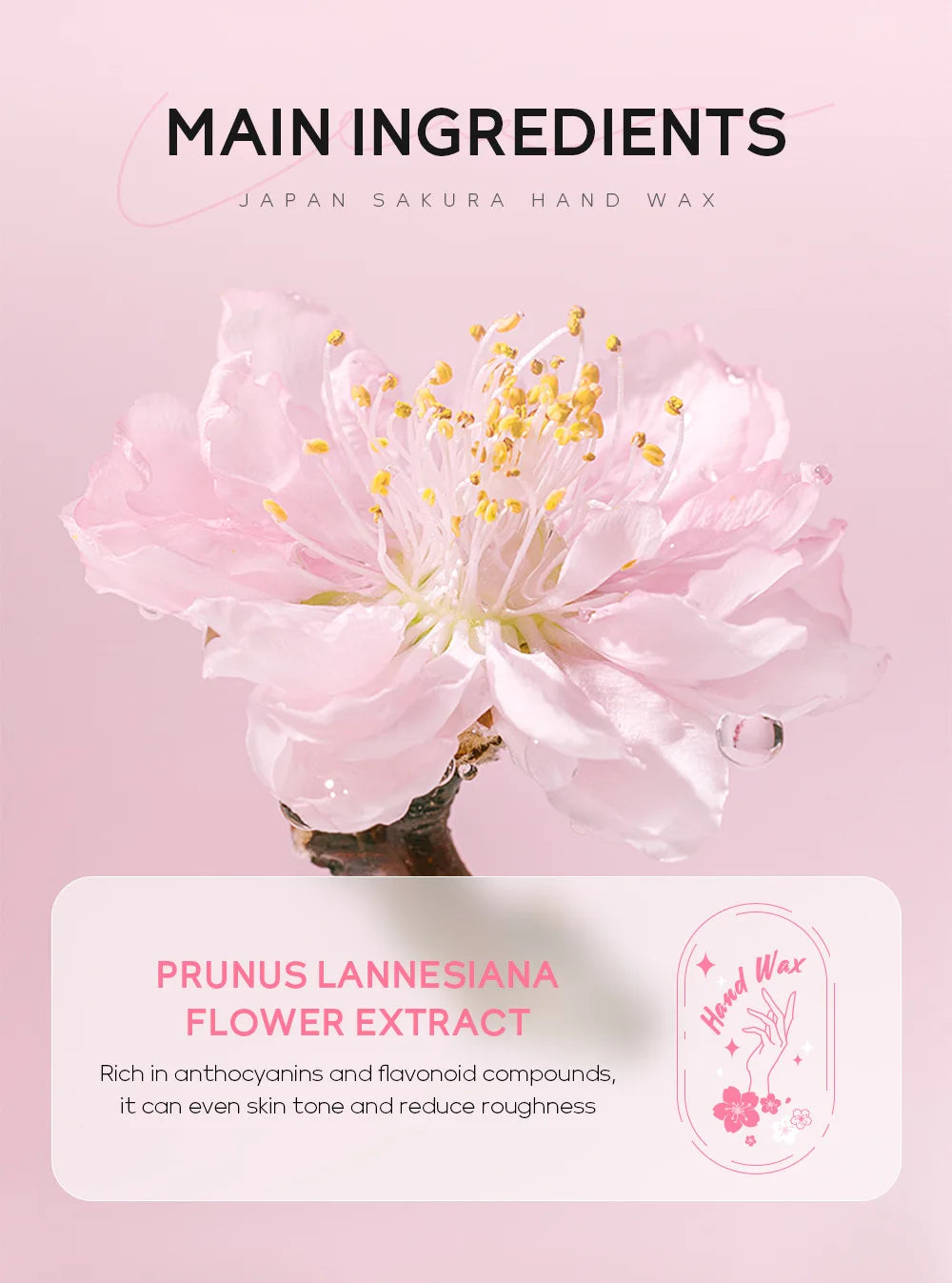 Sakura Hand Wax - Moisturizing, Exfoliating, Repairing Calluses & Paraffin Care